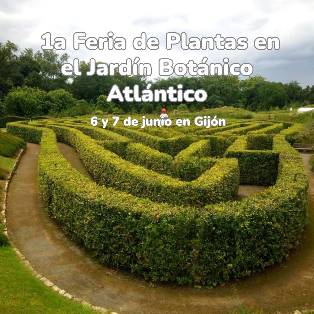 feria plantas jardin botanico atlantico de gijon