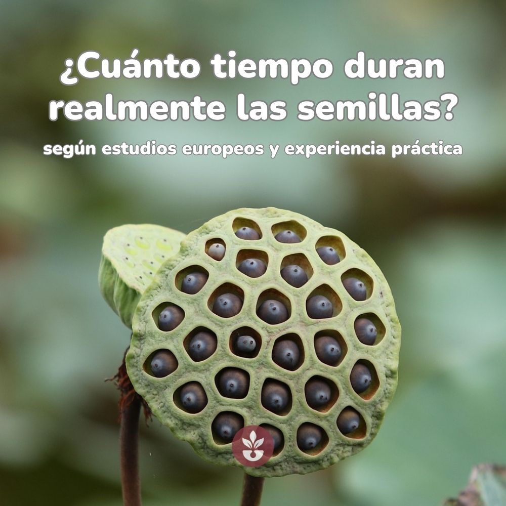cuanto tiempo duran realmente las semillas
