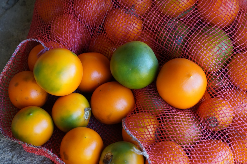 cosecha frutos lulo
