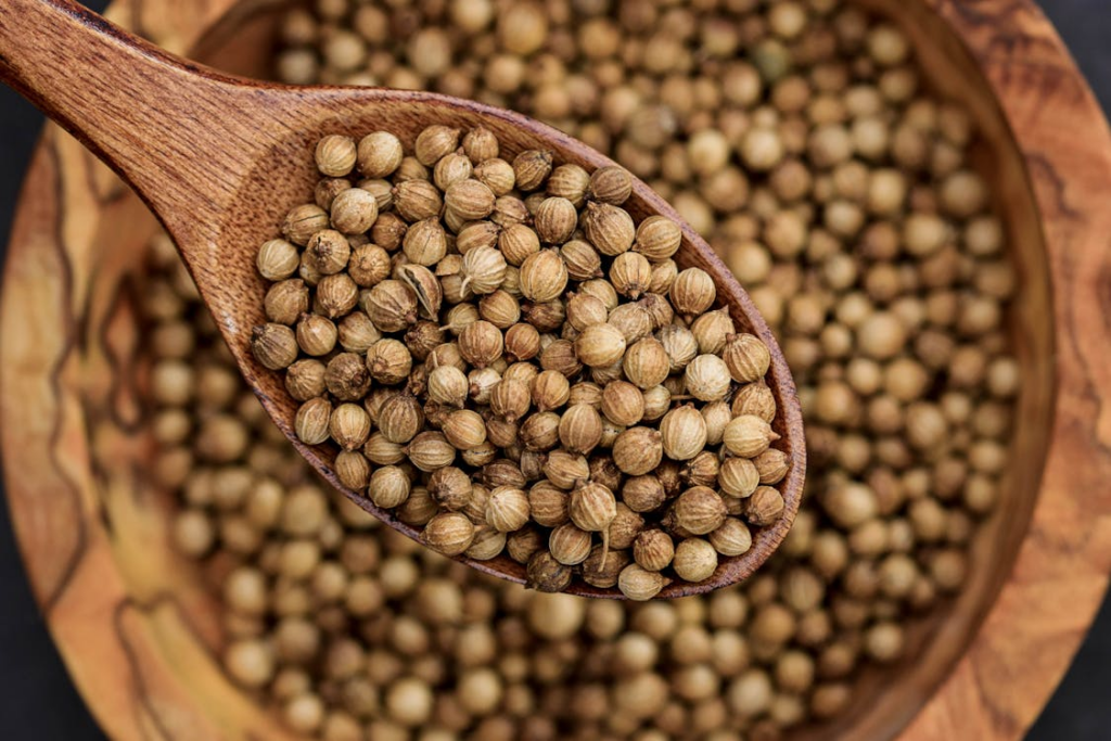 semillas de cilantro en una cuchara