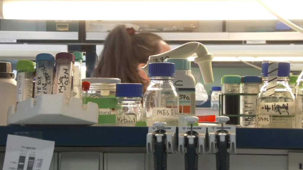 laboratorio semillas