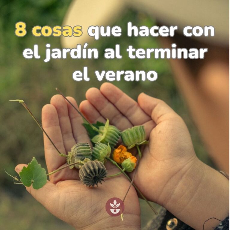 8 cosas que hacer con el jardín al terminar el verano