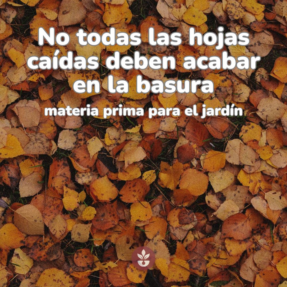 que hacer para aprovechar las hojas caidas