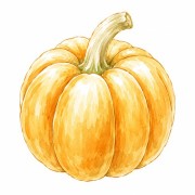 Calabazas y cucurbitáceas