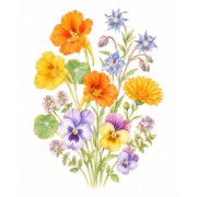 Flores comestibles