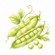 Guisantes