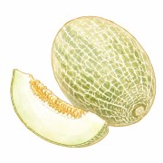 Melones