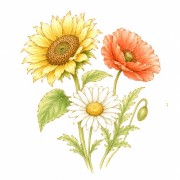 Flores