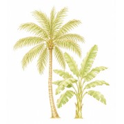 Palmeras y plataneras