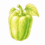 Pimientos